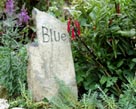 Blue's pet memorial headstone